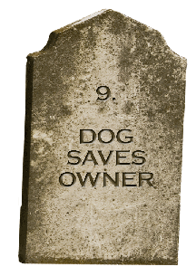 Episode 9 - Dog Saves Owner